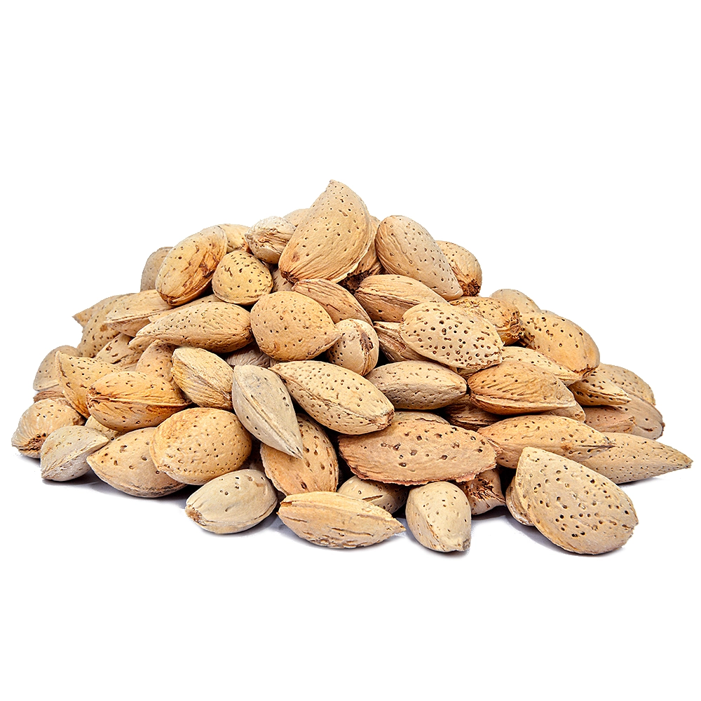 Almond In Shell (Badam Kagzi)